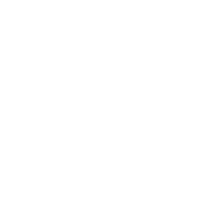 budget friendly icon